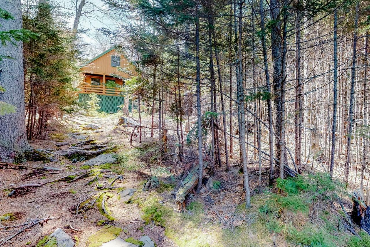 Loon Landing Lodge グリーンビル エクステリア 写真